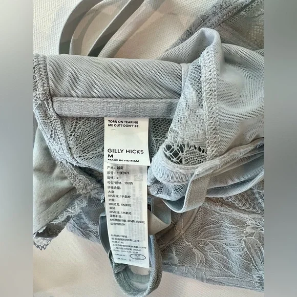 Gilly Hicks Lace Bustier in Soft Gray Floral Stitching Medium - Picture 7 of 9